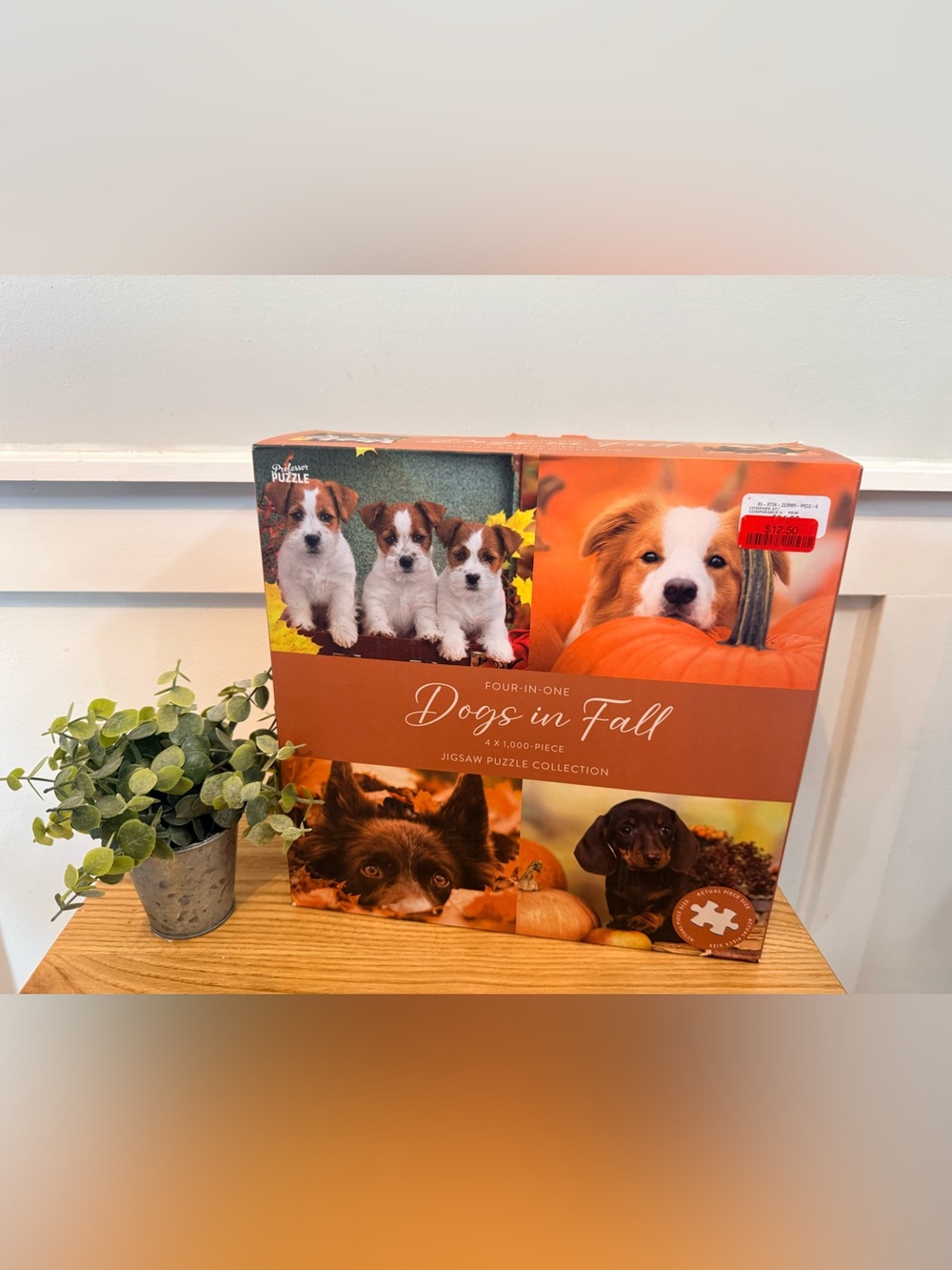 🌿2/$25 • Professor Puzzle Dogs in Fall 4-in-1 Jigsaw Puzzle Set